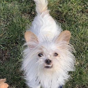 Meet your Posher, Tara